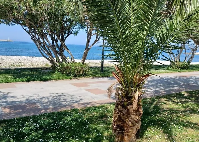 Summer Apartment