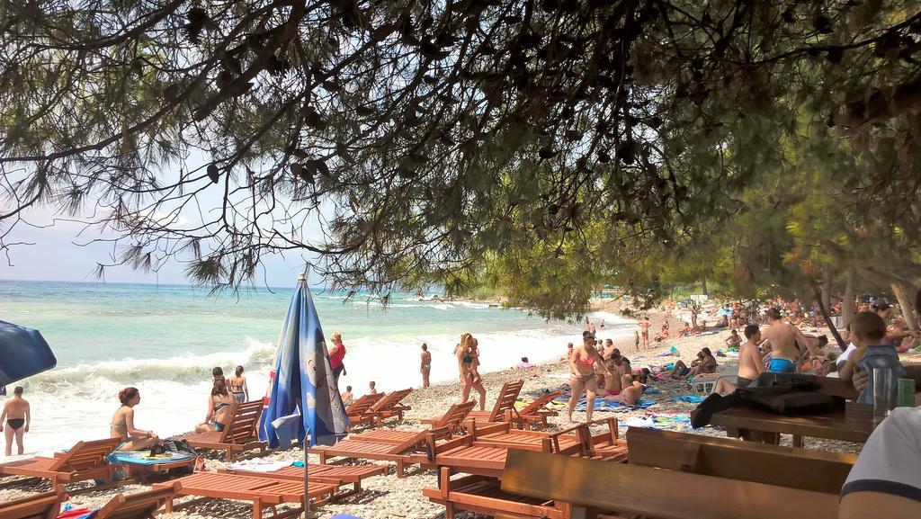 Summer * Bar